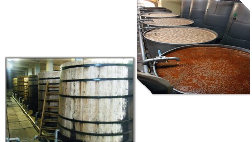 Bảo hộ chỉ dẫn địa lý “TEQUILA” cho sản phẩm rượu