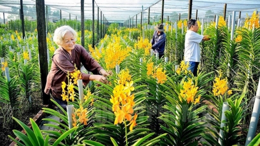 Nghiên cứu đưa khoa học và công nghệ phục vụ xây dựng nông thôn mới