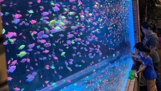 Tỷ phú cá cảnh làm hồ cá trong suốt thả các loại thủy quái cho người dân ngắm chơi