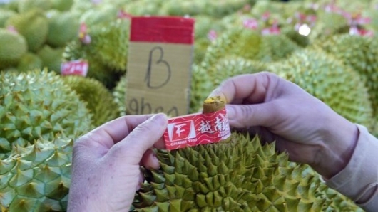 Hàng trăm mã số vùng trồng bị thu hồi, nông sản phập phồng nỗi lo tiêu chuẩn xuất khẩu