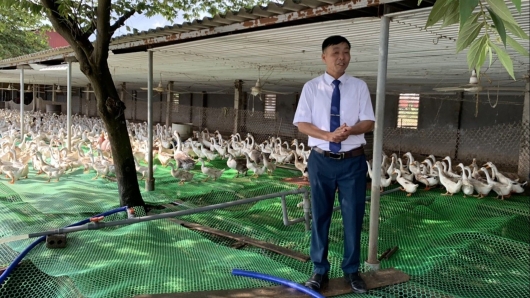 Lão nông chăn vịt mặc com lê đi dày đen và bí quyết thu tiền tỷ nhờ bán trứng vịt lộn cho đại gia