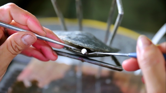 Nuôi loài thủy sản dưới ao không cần cho ăn sau một năm vớt lên có thứ đắt như vàng