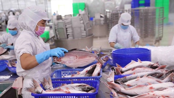 Vì sao xuất khẩu thủy sản sang Trung Quốc chưa thể bứt phá?