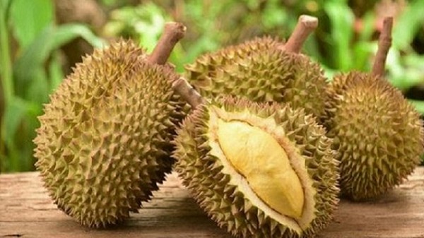 Sầu riêng Ri6 vào thị trường Anh có nhiều lợi thế cạnh tranh nhờ UKVFTA