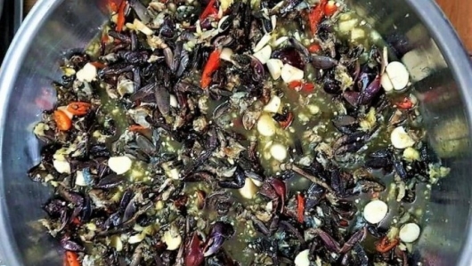 Ba khía muối – đặc sản trứ danh Cà Mau