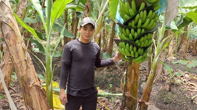 Hot boy ném chục tỷ xuống vùng đất chua phèn trở thành tỷ phú trồng chuối già đất Long An