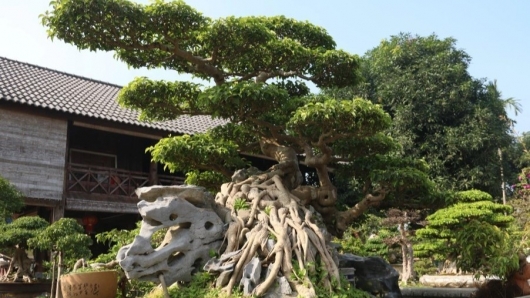 Kiệt tác sanh cổ "Nghinh phong" từng gây chấn động với giá gần 10 tỷ, độc đáo cỡ nào?