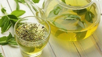 Trà cỏ ngọt và công dụng tuyệt vời cho sức khỏe con người